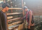 Bhabinkamtibmas-Desa-Tambak-Oso-Mengecek-Perkembangan-Bibit-Kambing-untuk-Ketahanan-Pangan