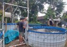 Bhabinkamtibmas-Cek-Lahan-Budidaya-Ikan-Nila-di-Desa-Ploso-Dukung-Program-Ketahanan-Pangan-Nasional