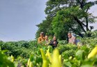 Anggota-Polsek-Sidoarjo-Kota-Tinjau-Langsung-Pengembangan-Lahan-Cabai-dan-Jagung-Warga-Sidokare