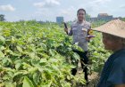 Polisi-Cinta-Petani,-Turun-Langsung-ke-Lahan