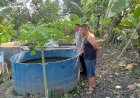 Polsek-Tulangan-Dukung-Program-Ketahanan-Pangan-Melalui-Peternakan-Ikan-Lele