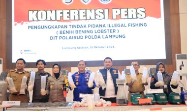 Penegakan-Hukum-Tegas-untuk-Perdagangan-Benih-Lobster-Ilegal-di-Lampung