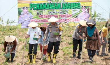 Wujudkan-Swasembada-Pangan,-Polres-Jombang-Tanam-Jagung-di-Lahan-Kosong