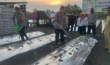 Polres-Gresik-bersama-Warga-Tani-Wujudkan-Ketahanan-Pangan-Tanam-Ribuan-Bibit-Cabai-di-Menganti