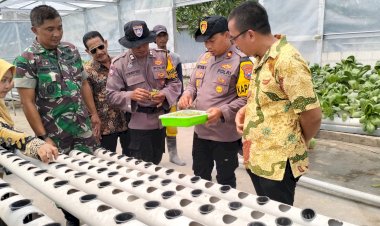 Kapolsek-Krian-Tinjau-Program-Ketahanan-Pangan-Di-Desa-Ponokawan