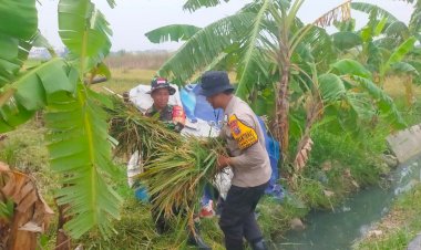 anggota-Polsek-Gedangan-Polresta-Sidoarjo-berkolaborasi-dengan-TNI,-pemdes-setempat,-dan-kelompok-tani-Desa-Ganting