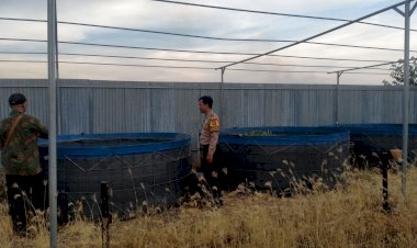 Wujudkan-Swasembada-Pangan,-Warga-Desa-Ganting-Gedangan-Manfaatkan-Lahan-Kosong-untuk-Budidaya-Ikan-Lele