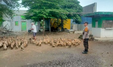 Warga-Desa-Glagaharum-Dukung-Program-Ketahanan-Pangan-Nasional-Lewat-Ternak-Bebek-Petelur