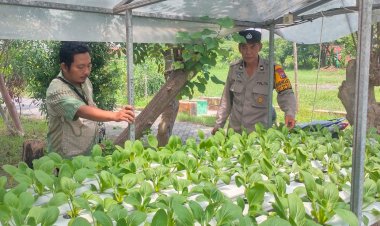 Polisi-Dukung-Ibu-PKK-Gerakkan-Program-Ketahanan-Pangan-Lewat-Tanaman-Hidroponik