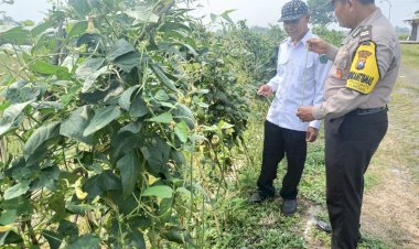 Warga-Kedungboto-Terinspirasi-Program-Asta-Cita-Presiden-RI-Prabowo,-Galakkan-Ketahanan-Pangan-Lewat-Pekarangan-Pangan-Bergizi