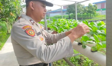 Upaya-Ketahanan-Pangan,-Bhabinkamtibmas-Tinjau-Budidaya-Sawi-Hijau-Hidroponik-di-Desa-Keboharan