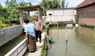 Bhabinkamtibmas-Tinjau-Ketahanan-Pangan-di-Kolam-Ikan-Nila-Milik-Warga-Desa-Wunut-Porong