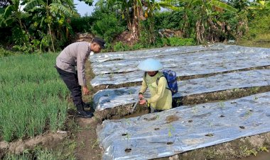 Polsek-Tarik-Kunjungi-Perkebunan-Cabai-Warga-Singogalih,-Optimalkan-Program-Ketahanan-Pangan-Polresta-Sidoarjo