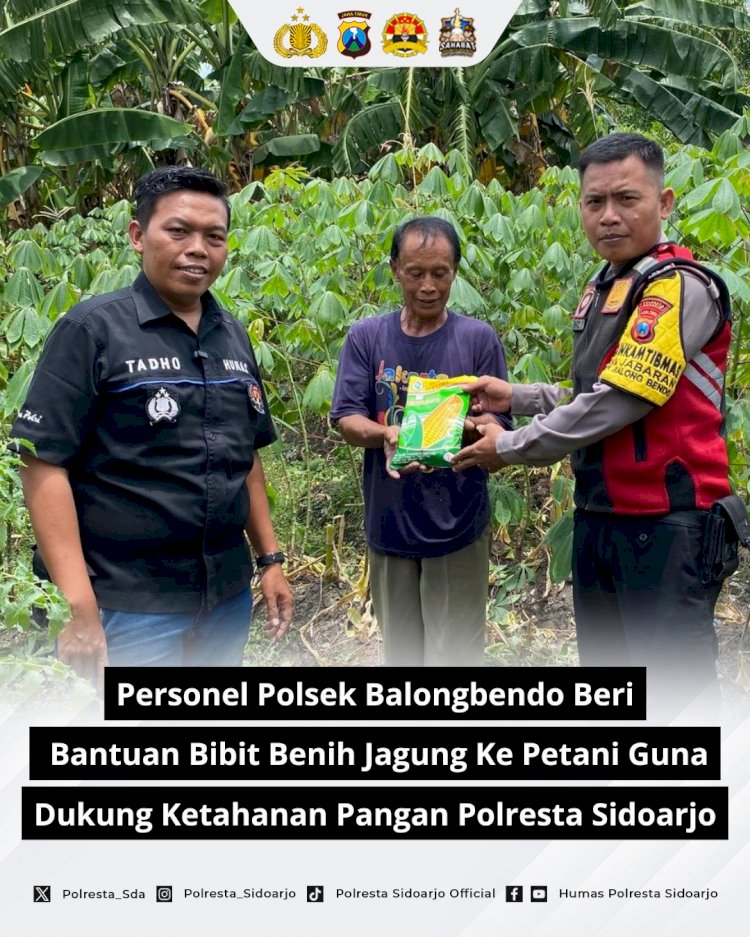 Personel Polsek Balongbendo Berikan Bantuan Bibit Jagung kepada Petani