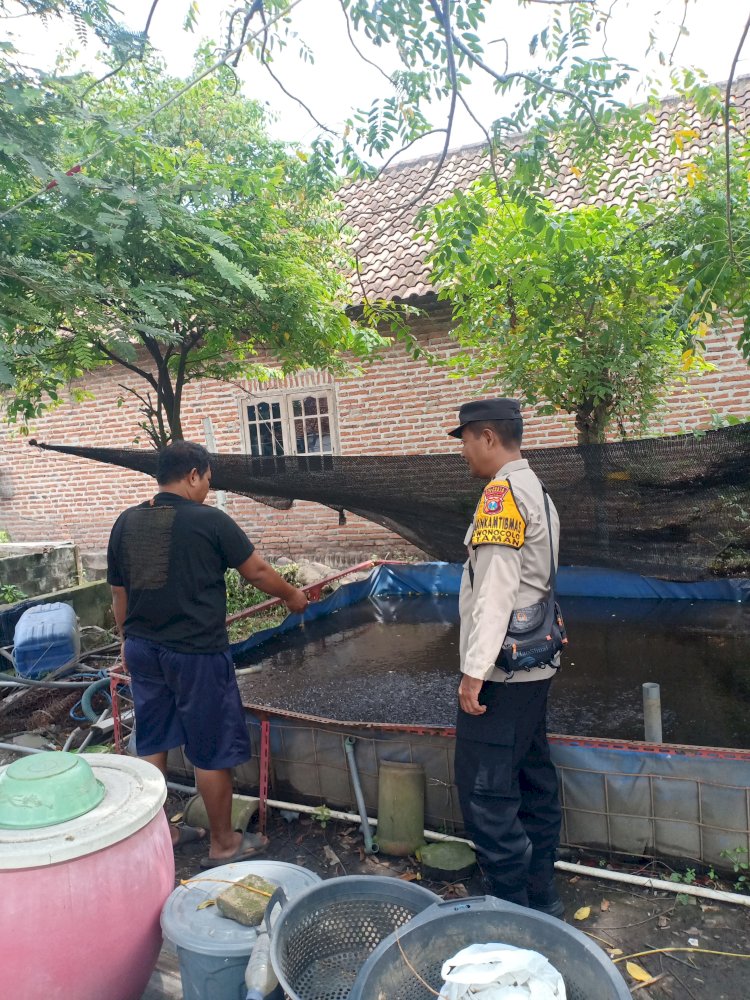 Kapolsek Taman Dukung Program Ketahanan Pangan Melalui Budidaya Ikan Lele di Sidoarjo