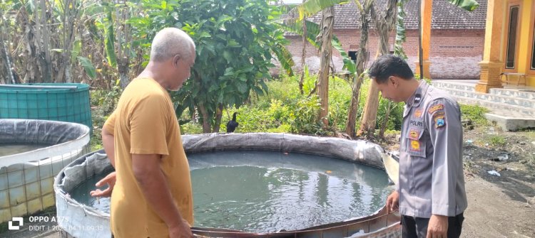 Bhabinkamtibmas Desa Ploso Bersama Pembudidaya Ikan Lele Gerak Bersama untuk Ketahanan Pangan Lewat Program Pekarangan Pangan Bergizi