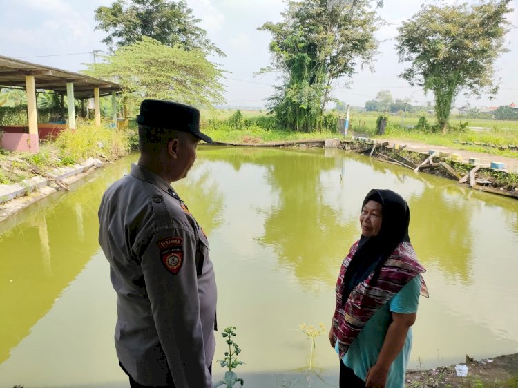 Bhabinkamtibmas Pademonegoro Apresiasi Program Ketahanan Pangan Ternak Ikan Lele