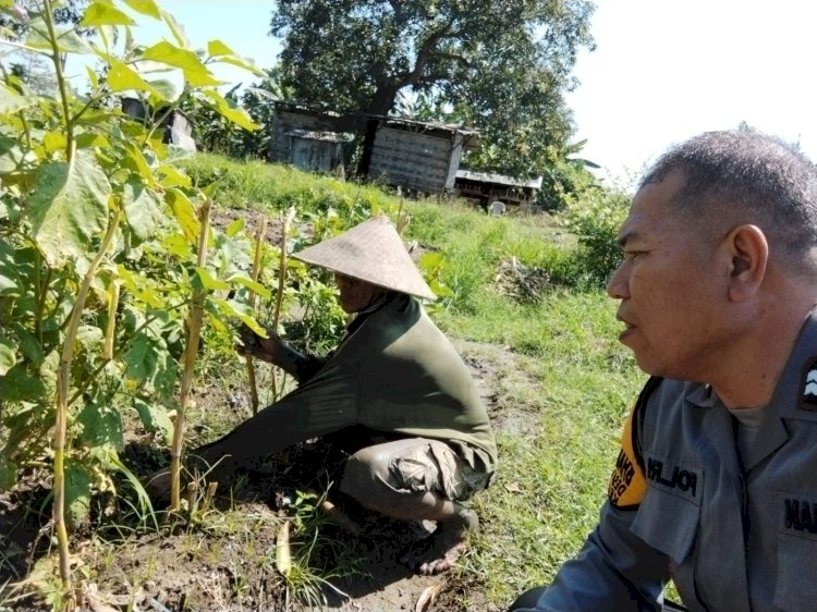 Bhabinkamtibmas Desa Buncitan Bersama Warga Benahi Lahan P2B untuk Dukung Ketahanan Pangan Polresta Sidoarjo