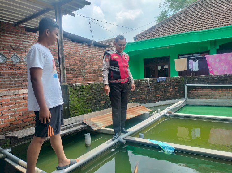 Bhabinkamtibmas Juwetkenongo Polsek Porong Tinjau Program Ketahanan Pangan Lewat Budidaya Ikan Nila