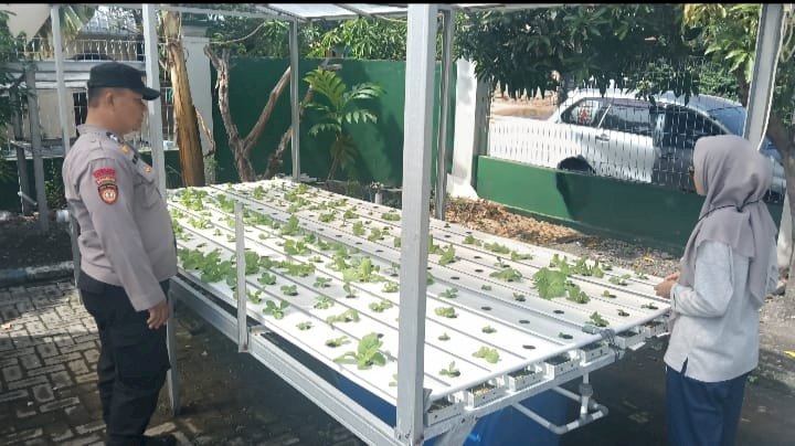 Bhabinkamtibmas Balonggabus Candi Dukung Ketahanan Pangan Lewat Program Hidroponik