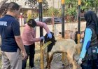 Polres-Madiun-Kota-Datangkan-Dokter-Hewan-Pastikan-Kesehatan-Hewan-Kurban