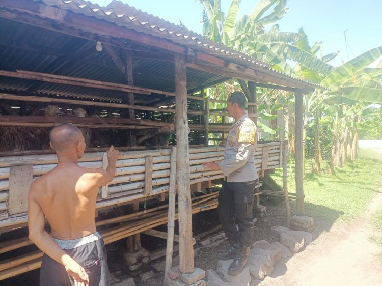 Bhabinkamtibmas Polsek Porong Tinjau Ketahanan Pangan Warga Ternak Kambing di Kebakalan
