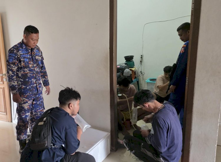 Ditpolair Korpolairud Ungkap Penyelundupan 47 Ribu Benih Lobster di Serang, Lima Tersangka Diamankan